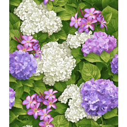 Обои Брянские обои Матильда-1